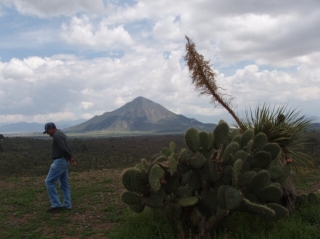 Paseos por el cielo